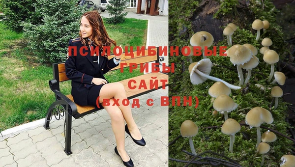 mdpv Магадан