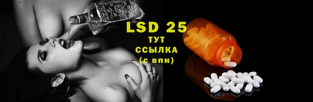 mdpv Магадан