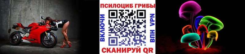 купить наркоту  Хвалынск  Галлюциногенные грибы мицелий 